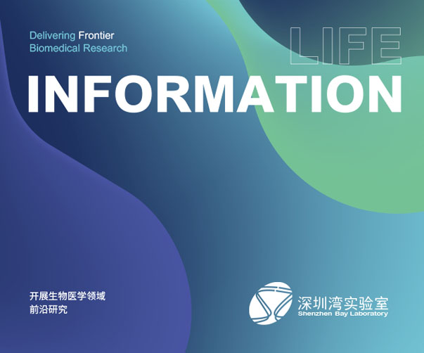 巨頭重塑識別力——亞馬遜、沃爾瑪與Adobe的商標戰略
