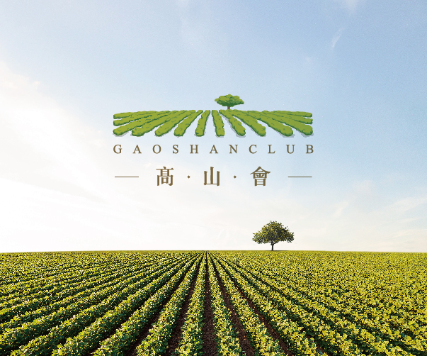 2025年品牌設計趨勢指南：上海平面設計師都應該了解的關鍵趨勢