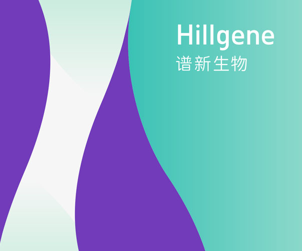 上海設計公司如何結合企業品牌設計打造專業的企業介紹畫冊